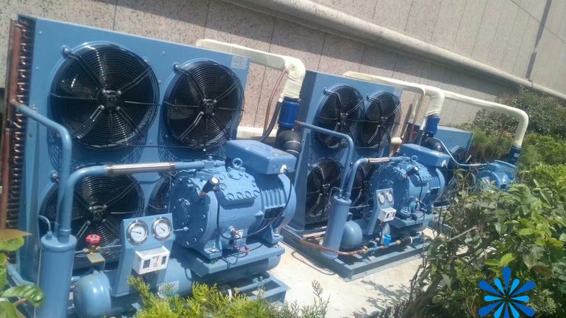 保鲜冷库温湿度控制：揭秘设备选型与维护关键