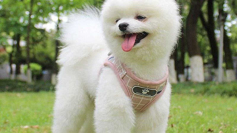 成都气调库建筑规范要求详解：关键要素与合规要点